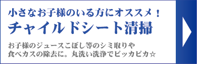 チャイルドシート清掃｜小さなお子様のいる方にオススメ！お子様のジュースこぼし等のシミ取りや食べカスの除去に。丸洗い洗浄でピッカピカ☆