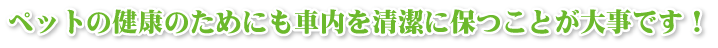 ペットの健康のためにも車内を清潔に保つことが大事です！